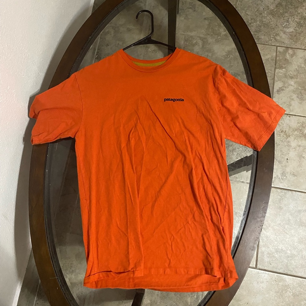 Patagonia T shirt